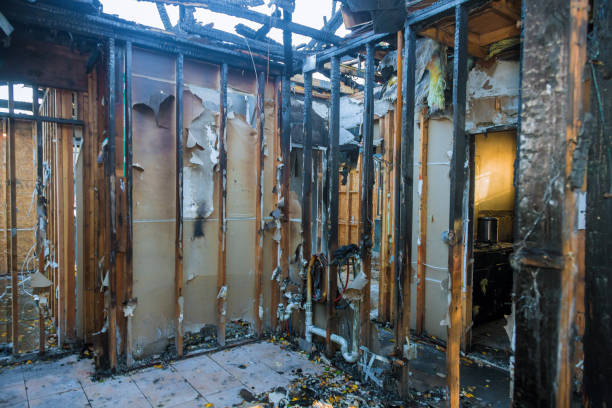 Professional Soot Cleanup technician working in Mount Rainier, MD